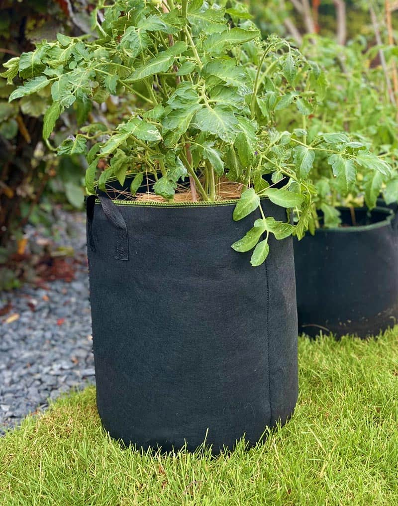 3 Sacs de plantation 60L – Image 4